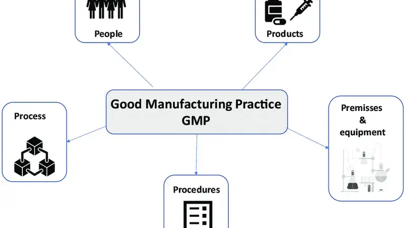 gmp manufacturing