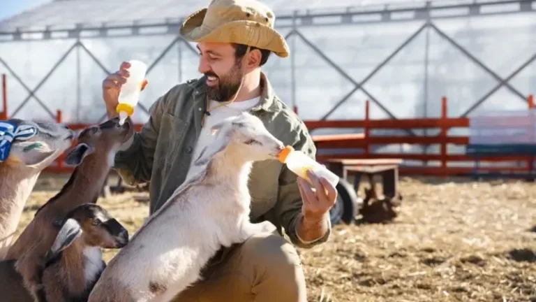 Exotic Animal Sanctuary in Omaha, NE